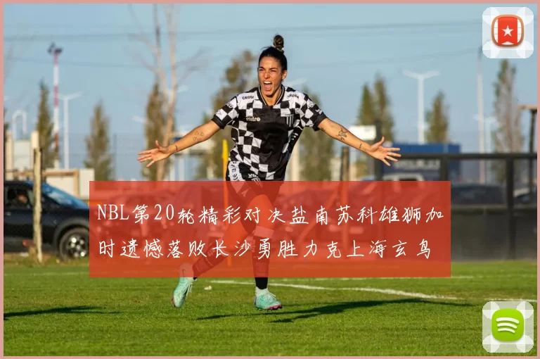 NBL第20轮精彩对决盐南苏科雄狮加时遗憾落败长沙勇胜力克上海玄鸟